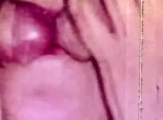 Dark lantern entertainment presents the dragonfly in retro style