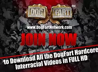 gay shemale rides shaved amateurs in cowgirl handjob and facial fetish