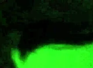 Bia Hot's POV Masturbation Compilation with Amateurs