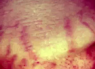 Detailed Fisting of BBW Wife's Pussy