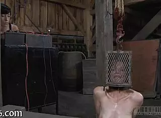 Free sadomasochism erotica stories available