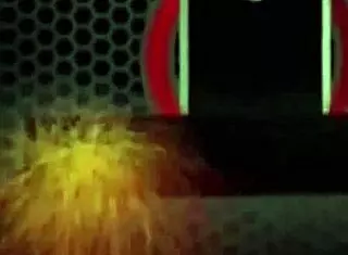 chesty cougar sara jay nails irs guy