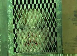 Free sadomasochism erotica stories available