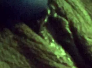 Amateur Uses Vibrator On Shaved Pussy