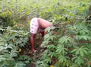 King's ebony maid gets fucked by two guys outdoors on the cassava farm