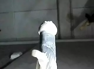 Analus Pizdalus explores wild anal play with toys. This shemale's asshole takes a deep dildo ride!