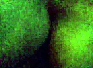 intense pleasure from monster cock fucking ebony beauty in hardcore session