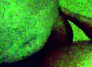 intense pleasure from monster cock fucking ebony beauty in hardcore session