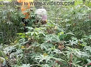 King's ebony maid gets fucked by two guys outdoors on the cassava farm