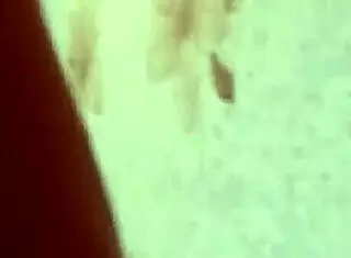 Faye Reagan and Georgia Jones Passionately Scissor and Finger Each Other