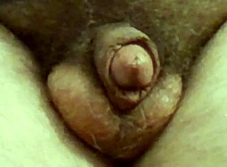 여기 웹 채팅에서 내 작은 자지로 앉아 있어, 너무 작아!