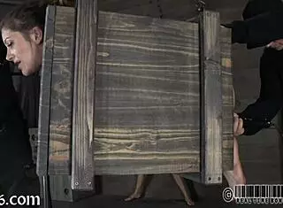 Ferocious Whipping for the Gal