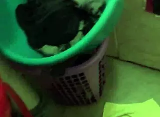 Who Can Suck Dick Better Than My In Gauteng Inbox