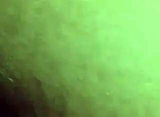 Giving attention to wife with close-up