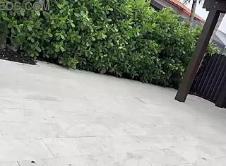 i got so rough with sexy latina teen serena santos, fucking her outside and giving huge facial cum in mouth.