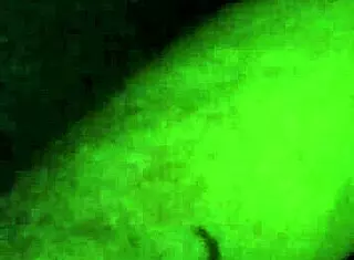 i'm fucking brittney hard, feeling every thrust in this amateur session