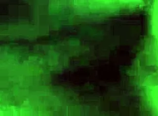 Amateur Couple Enjoying Bedtime Fun