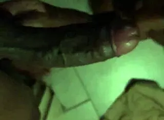 Who Can Suck Dick Better Than My In Gauteng Inbox