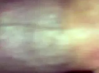 willy and jesse share their wife with matthew in bareback fun