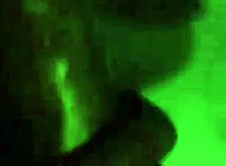 Who Can Suck Dick Better Than My In Gauteng Inbox