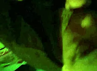 Sucking good cock in gay encounter