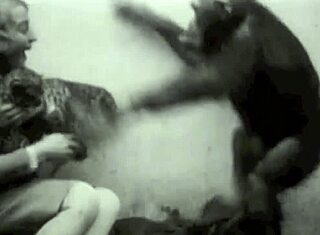 Belleza vintage cautiva en escena retro al aire libre con tetas peludas naturales