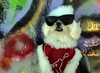 Retro ass dancing and shaking in blue films. So fun and nostalgic!