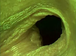 blonde amateur's pussy gets roughly destroyed in hardcore