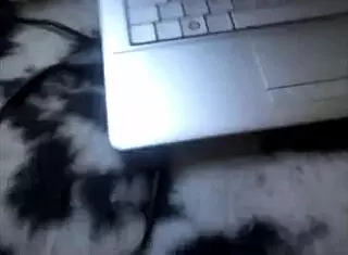 Prostitute Delivers Blowjob Services During Night Cruise Adventure