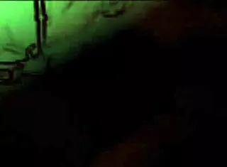 This blonde wife has a tremendous ass in compilation