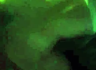 After the night club party, she got on all fours