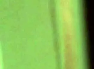 Teacher Spies on Cougar in Bathroom Hidden Cam