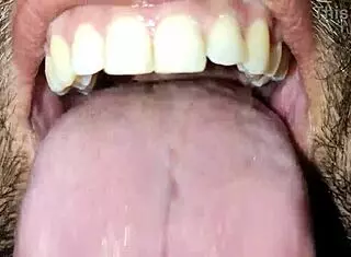 put your pussy here 3