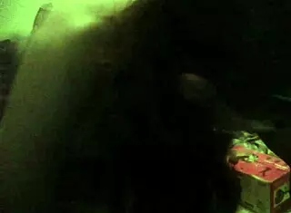 Liza Pet Showcases Argentinian Talents In Performances