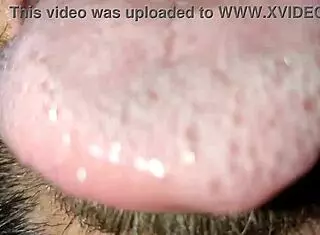 put your pussy here 3