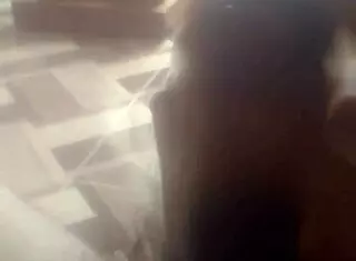 Watch me masturbate for you