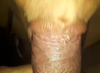 sexy susy gives delicious blowjob to her stepbrother, loving his cock