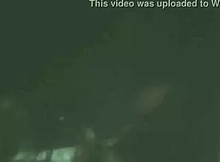 Big natural tits sucking my dick eagerly