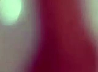 Starting double anal penetration with transsexual partner