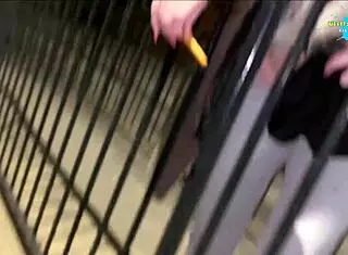 Cracky says, 'Take this stick up my shaved pussy outdoors'