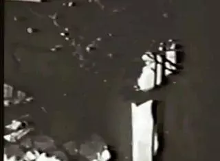 Discovering vintage natural scenes with mature elements