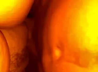 Fat cock fucks tight pussy