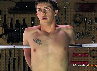 Bunden collegejock onaneras och piskas i domination bondage