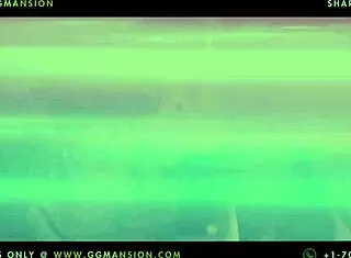 does this blonde love sucking ass at ggmansion? she's so into it