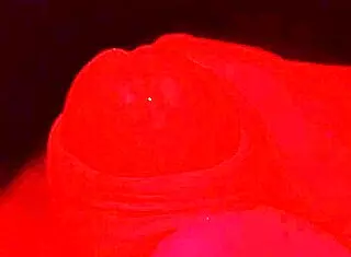 hey, wanna see me masturbate till i cum? 😏💦