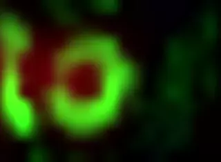 ready to play forbidden dojo with anal assfucking part 11?