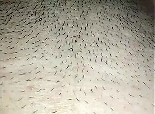 Sucked Her Ass And Pussy!