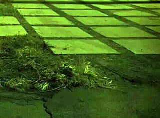 Teen Curves: Sixties-Inspired Milf Appeal