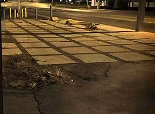 female muscle domination first time bondage action!