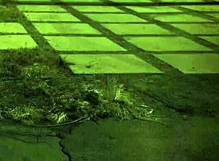 female muscle domination first time bondage action!